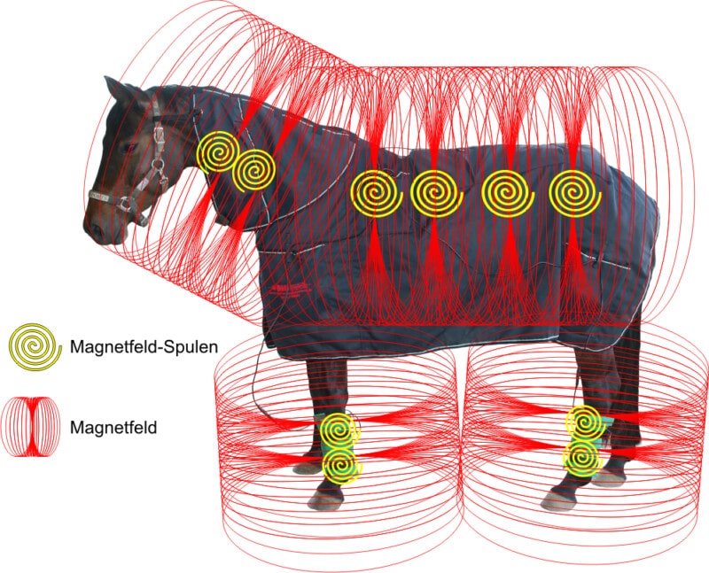Effect and use of pulsating field therapy