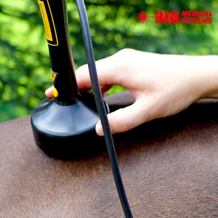 Pulse Diode Therapy Laser Multiprog MP 2510 for horse and small animal