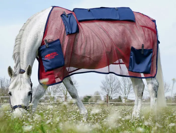 Summer blanket for the pulsating magnetic field system MDMS 2010 for horses