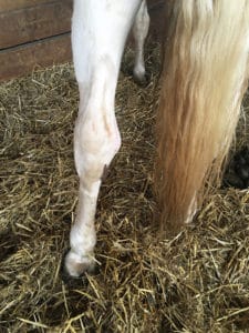 Treat infected wound with laser therapy after chip surgery