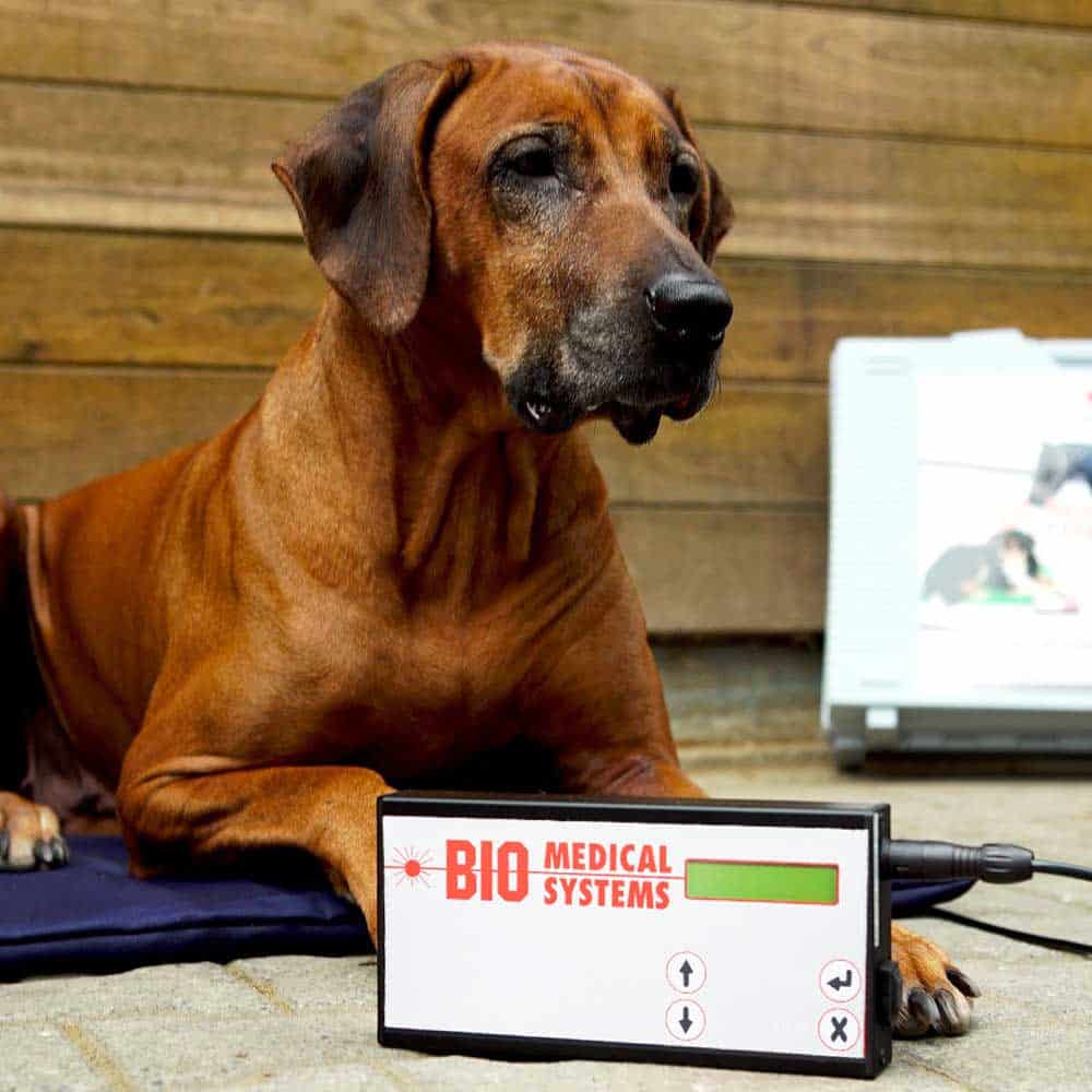Magnetfeldmatte, Magnetfeldsystem Kleintier Hund