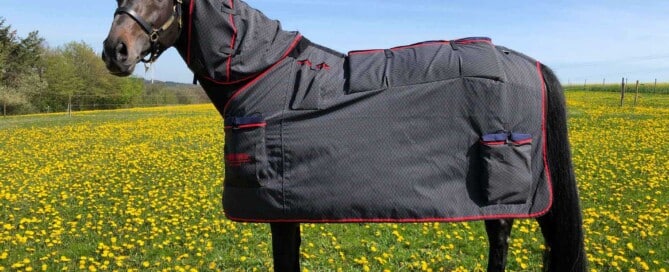 Magnetic field therapy therapy laser