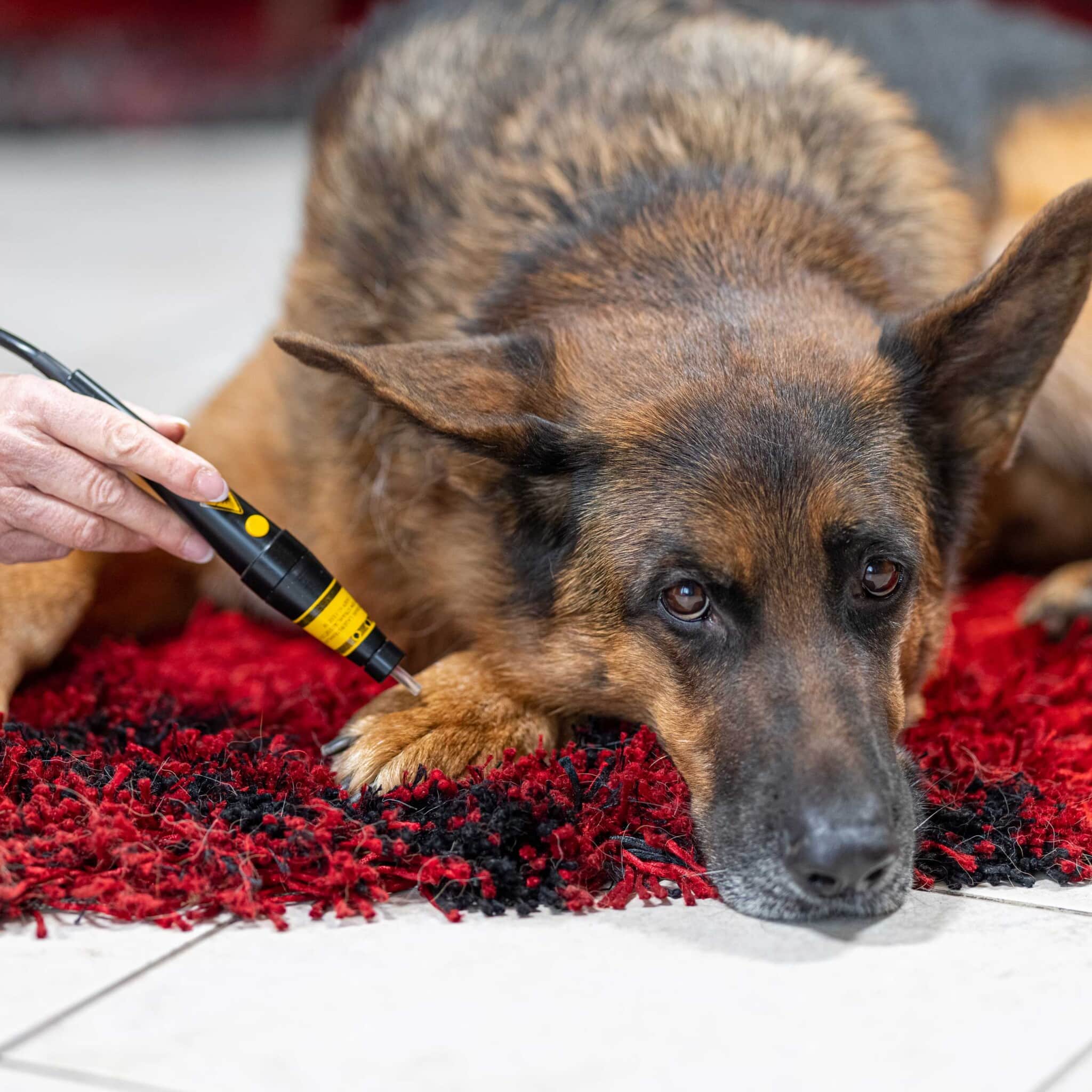 Laser therapy for the treatment of hot spots